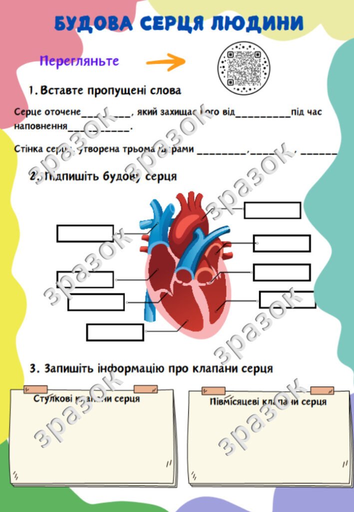 Головне зображення розробки: Робочий аркуш. Біологія 8 клас. Будова серця людини.
