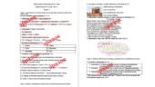Діагностична контрольна робота “Давня Греція та її сусіди. Тема 1” (І. Щупак) за групами результатів