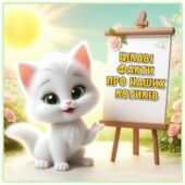 Цікаві факти про наших котиків ( 20)