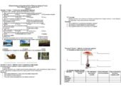 Діагностична контрольна робота Пізнаємо природу 5 клас Тема 4. Вивчаємо живу природу Землі