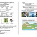 Діагностична контрольна робота Пізнаємо природу 5 клас Тема 4. Вода на Землі, Тема 5. Повітряна оболонка Землі