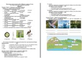 Діагностична контрольна робота Пізнаємо природу 5 клас Тема 4. Вода на Землі, Тема 5. Повітряна оболонка Землі