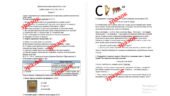 Діагностична контрольна робота “Давня Греція та її сусіди. Тема 2” (І. Щупак) за групами результатів