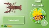 Презентація до теми “Ракоподібні”. Біологія 7 клас НУШ