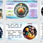 Фото розробки: А. де Сент-Екзюпері. “Маленький принц”. Презентація та завдання у форматі ПДФ.