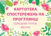 Картотека спостережень на прогулянці середня група (весна)