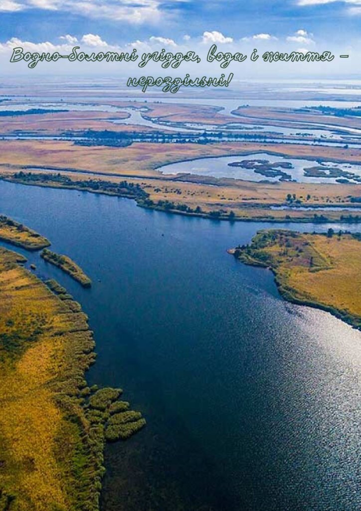 Головне зображення розробки: Водно-болотні угіддя, вода і життя – нероздільні!