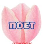 Фото розробки: ШЕВЧЕНКІВСЬКІ ДНІ. РОЗТЯЖКА + МАТЕРІАЛ ДЛЯ ОФОРМЛ. ДОШКИ.