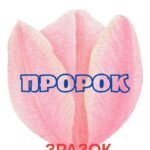 Фото розробки: ШЕВЧЕНКІВСЬКІ ДНІ. РОЗТЯЖКА + МАТЕРІАЛ ДЛЯ ОФОРМЛ. ДОШКИ.