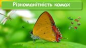 Презентація до теми “Різноманітність комах”. Біологія 7 клас НУШ
