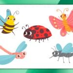 Фото розробки: Гра ” Вивчаємо комах”