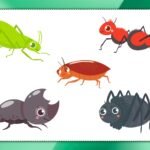 Фото розробки: Гра ” Вивчаємо комах”