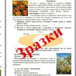 Фото розробки: Комплексна підсумкова робота за чотирма групами результатів. ПРИКМЕТНИК ЯК ЧАСТИНА МОВИ. 6 клас_Заболотний О. В.