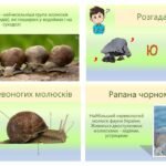 Фото розробки: Презентація “Черевоногі молюски”. Біологія 7 клас НУШ