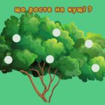 Фото розробки: Гра ” Що росте на кущі?”