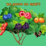 Фото розробки: Гра ” Що росте на кущі?”