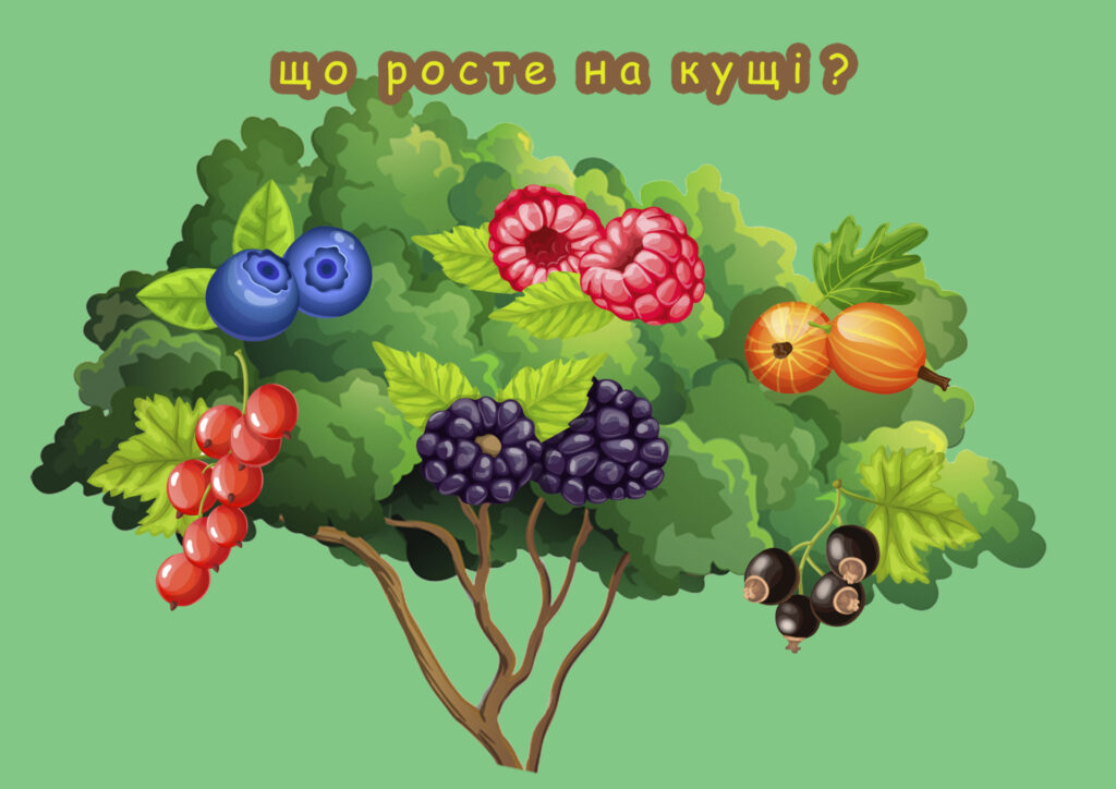 Головне зображення розробки: Гра ” Що росте на кущі?”