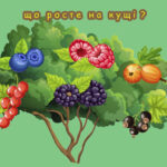 Гра ” Що росте на кущі?”