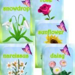 Демонстраційні картки “My wonderful flower garden”