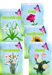 Демонстраційні картки “My wonderful flower garden”
