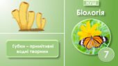 Презентація з біології на тему “Губки – примітивні водні тварини”, 7 клас НУШ