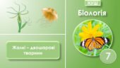 Презентація з біології на тему “Жалкі – двошарові тварини”, 7 клас НУШ