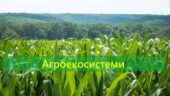 Презентація з біології на тему “Агроекосистеми”, 11 клас.