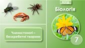 Презентація до теми “Членистоногі”. Біологія 7 клас НУШ