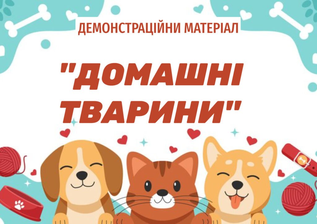 Головне зображення розробки: Домашні тварини
