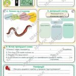 Робочий аркуш до теми “Кільчасті черви”. Біологія 7 клас НУШ