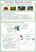Робочий аркуш “Комахи. Будова комах”. Біологія 7 клас НУШ