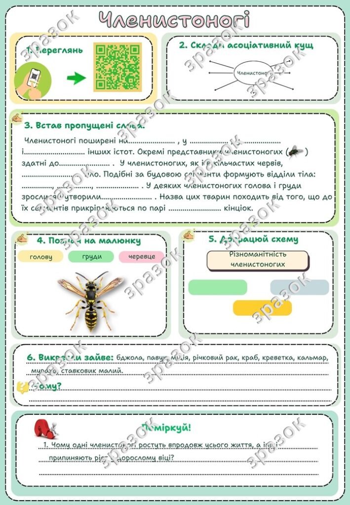 Головне зображення розробки: Робочий аркуш до теми “Членистоногі”. Біологія 7 клас НУШ