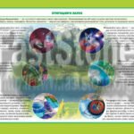 Фото розробки: ЯДС. Я ДОСЛІДЖУЮ СВІТ В СХЕМАХ І ТАБЛИЦЯХ. 1-6 кл. ПРИРОДНИЧІ НАУКИ. ВИДАТНІ ВЧЕНІ-ПРИРОДОЗНАВЦІ. МЕТОДИ ВИВЧЕННЯ ПРИРОДИ. ОБЛАДНАННЯ ДЛЯ ДОСЛІДЖЕНЬ