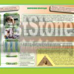 Фото розробки: ЯДС. Я ДОСЛІДЖУЮ СВІТ В СХЕМАХ І ТАБЛИЦЯХ. 1-6 кл. ПРИРОДНИЧІ НАУКИ. ВИДАТНІ ВЧЕНІ-ПРИРОДОЗНАВЦІ. МЕТОДИ ВИВЧЕННЯ ПРИРОДИ. ОБЛАДНАННЯ ДЛЯ ДОСЛІДЖЕНЬ