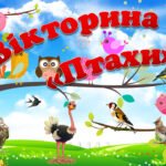 Вікторина до Міжнародного дня птахів “Птахи”