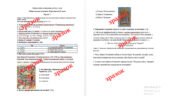 Діагностична контрольна робота з теми «Монгольська експансія. Королівство Руське» Галімов