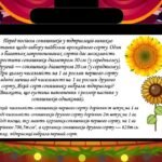 Фото розробки: Число пі 2025 Міжнародний день числа пі