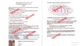 Діагностувальна контрольна робота з теми «Середньовічні держави в X—XV ст.»
