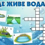 Фото розробки: Всесвітній день водних ресурсів