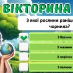 Фото розробки: День Землі. Квест “Врятуй землю”