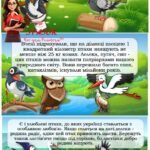 Фото розробки: Інтерактивна презентація “Міжнародний день птахів” – 1 квітня