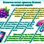 Фото розробки: Пам’ятка на весняні канікули 2025 у відеоформаті. Техніка безпеки на весняні канікули