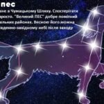 Фото розробки: День космонавтики. Квест «Космічний шлях»