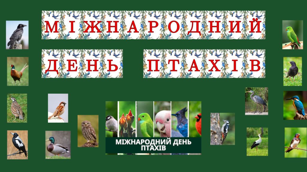 Головне зображення розробки: Набір матеріалів Міжнародний день птахів!