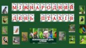 Набір матеріалів Міжнародний день птахів!