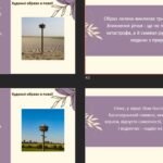 Фото розробки: 7 клас. Українська література. Ліна Костенко. “Дзвенять у відрах крижані кружальця”, “Ще назва є, а річки вже немає” ПОВНИЙ АНАЛІЗ і не тільки