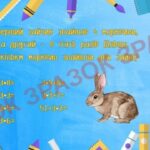 ДИДАКТИЧНИЙ МАТЕРІАЛ ДЛЯ УРОКІВ МАТЕМАТИКИ.