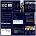 Фото розробки: Презентація “Громадянське суспільство і держава”. Громадянська освіта. 8 клас НУШ.