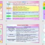 Фото розробки: Презентація до теми «Зміни в драматургії на межі XIX–XX ст. Моріс Метерлінк. «Синій птах».