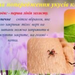 Фото розробки: Матеріал для проведення виховного заходу. Презентація на тему: Правила поведінки під час весняних канікул. Безпечні весняні канікули.2025